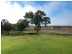 Back Brawlin Road, Cootamundra NSW 2590
