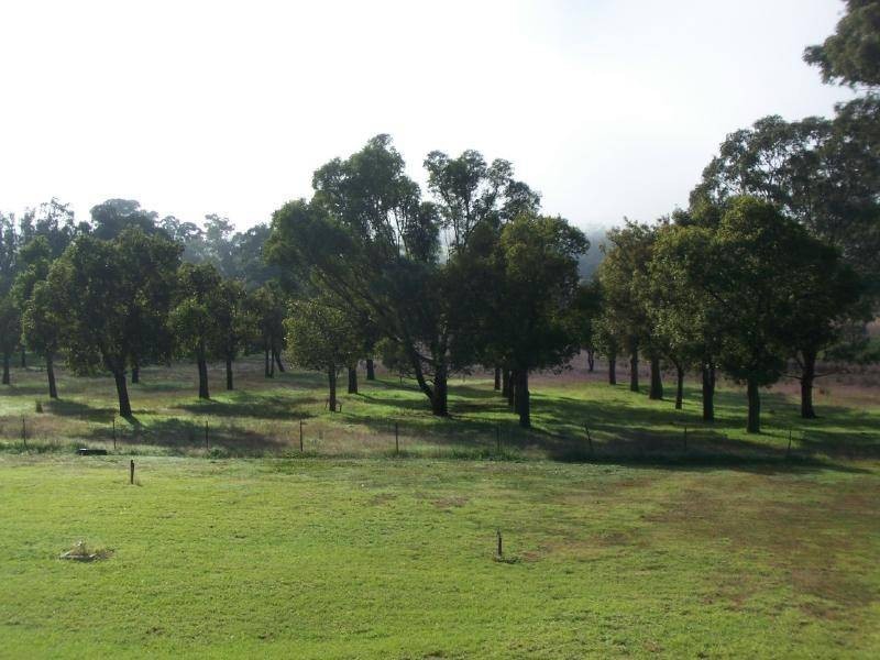 Back Brawlin Road, Cootamundra NSW 2590