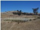 Back Brawlin Road, Cootamundra NSW 2590