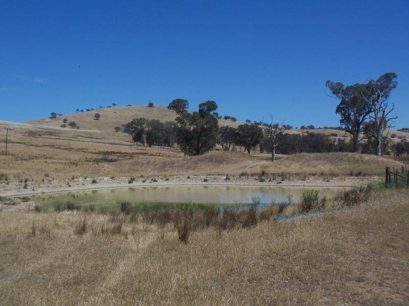 Back Brawlin Road, Cootamundra NSW 2590