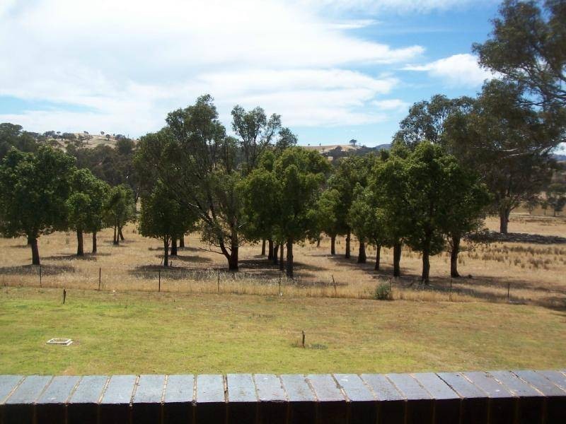 Back Brawlin Road, Cootamundra NSW 2590