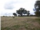 269 Old Wallendbeen Road, Stockinbingal NSW 2725