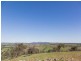 Lot 1 Salt Clay Road, Cootamundra NSW 2590