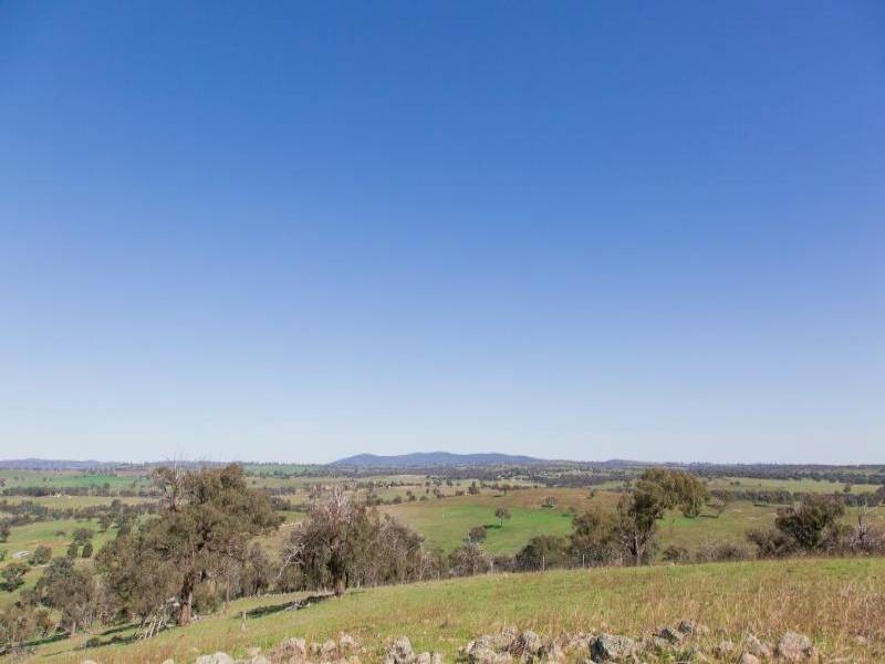 Lot 1 Salt Clay Road, Cootamundra NSW 2590