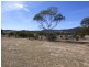 3133 Olympic Highway “The Grange”, Cootamundra NSW 2590