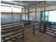 3133 Olympic Highway “The Grange”, Cootamundra NSW 2590