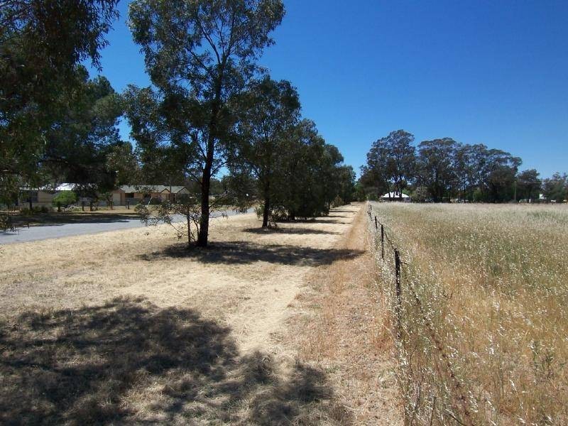 Lot 65 Wood Street, Stockinbingal NSW 2725