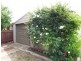 153 Adams Street, Cootamundra NSW 2590
