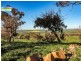 Cootamundra NSW 2590