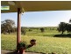 Cootamundra NSW 2590