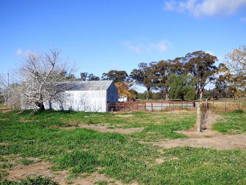 93 Racecourse Lane, Stockinbingal NSW 2725