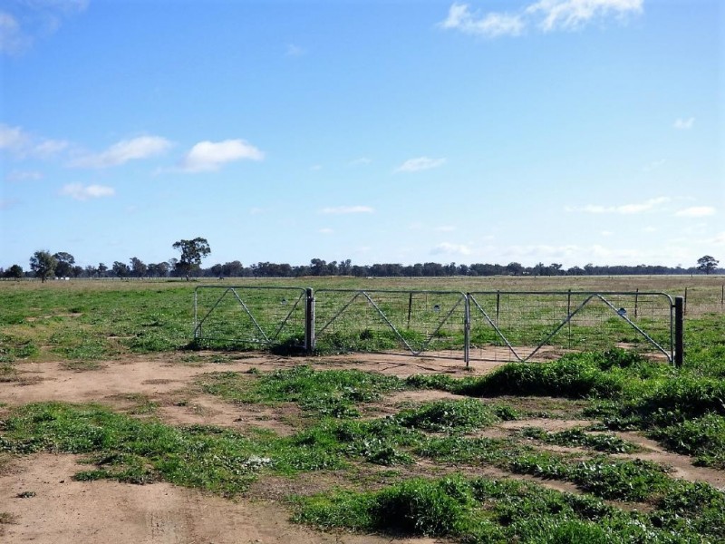 93 Racecourse Lane, Stockinbingal NSW 2725