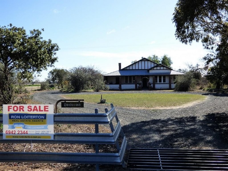 93 Racecourse Lane, Cootamundra NSW 2590