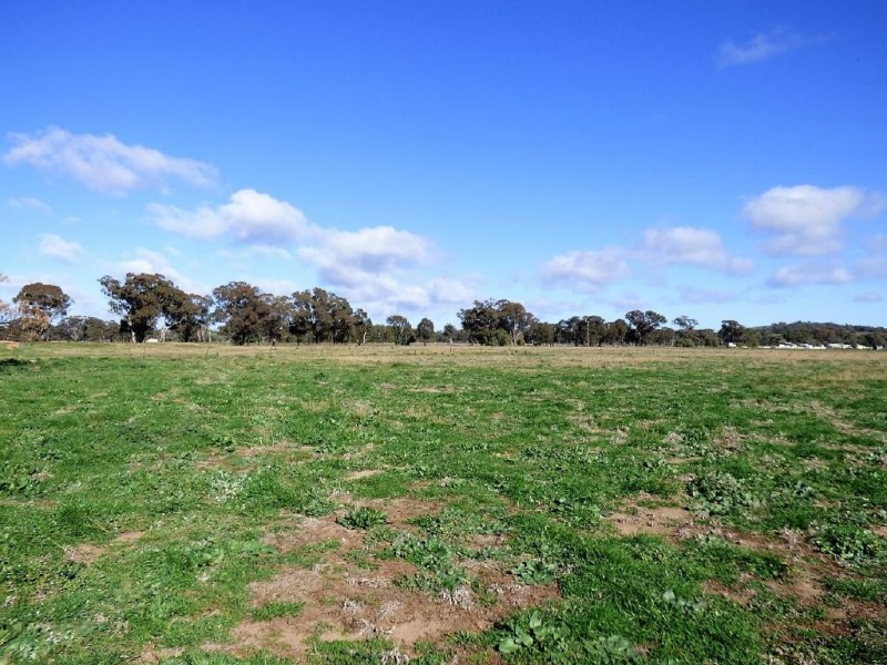 93 Racecourse Lane, Cootamundra NSW 2590