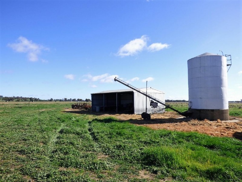93 Racecourse Lane, Cootamundra NSW 2590