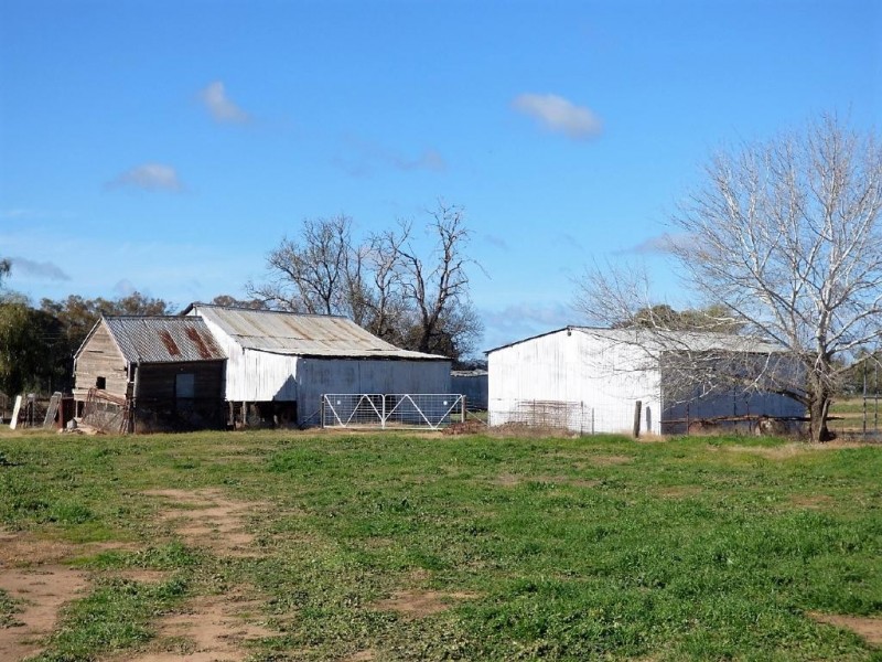 93 Racecourse Lane, Cootamundra NSW 2590