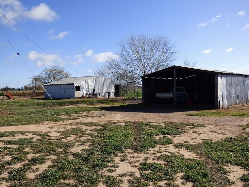 93 Racecourse Lane, Cootamundra NSW 2590
