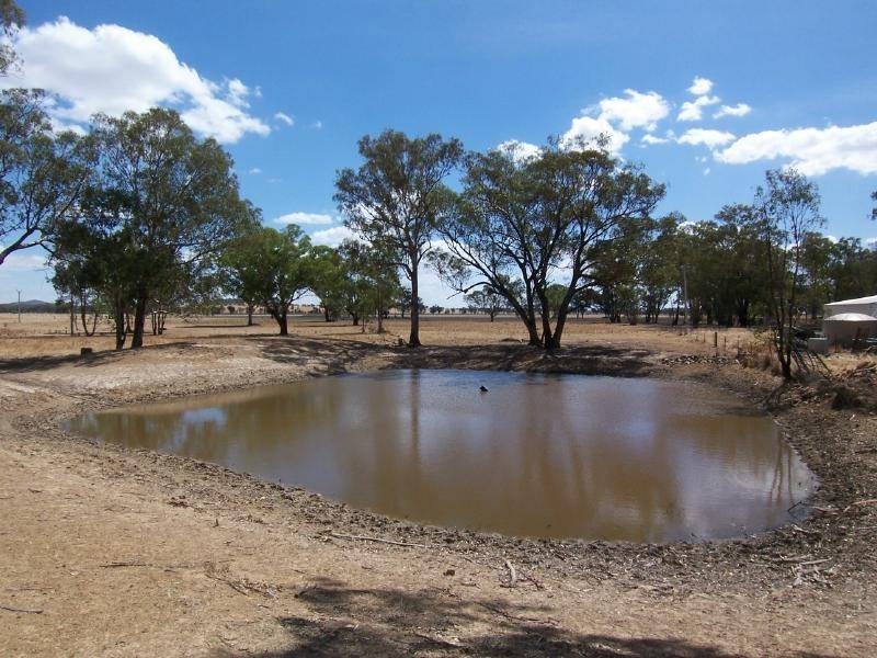 169 Old Wallendbeen Road, Stockinbingal NSW 2725