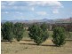 Lot 5 Gundagai Road, Cootamundra NSW 2590