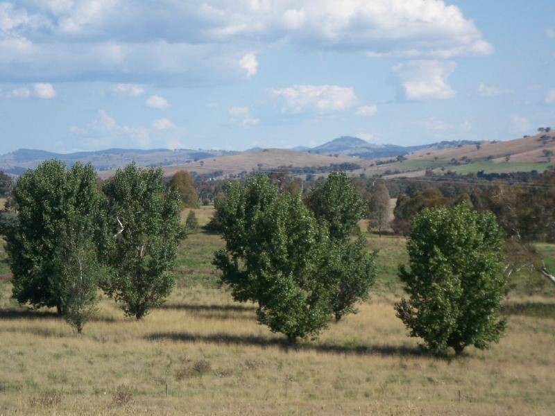 Lot 5 Gundagai Road, Cootamundra NSW 2590