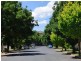 Cootamundra NSW 2590