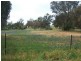 Lot 369 Pinkerton Road, Cootamundra NSW 2590