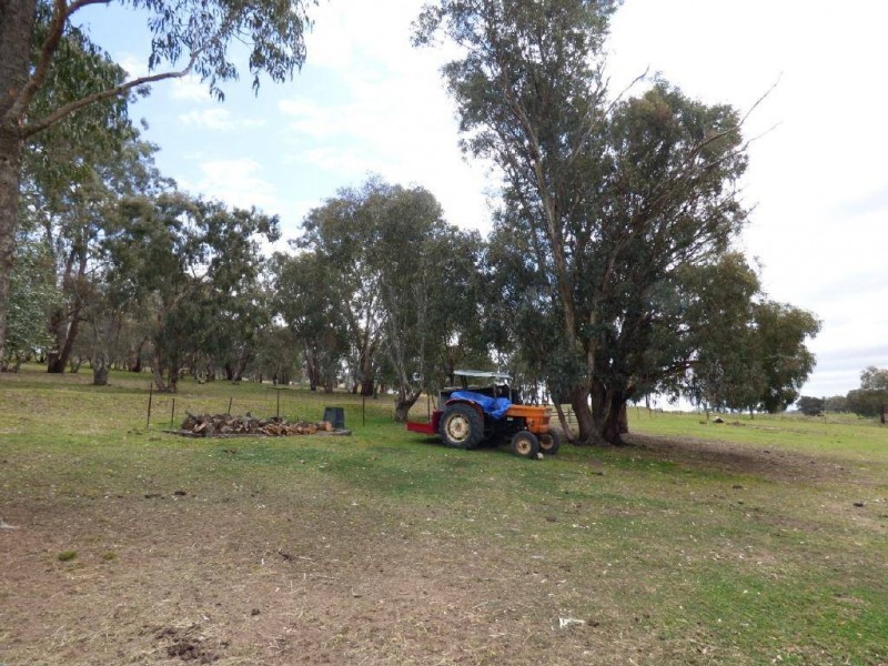 582 Back Brawlin Road, Cootamundra NSW 2590