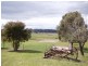 582 Back Brawlin Road, Cootamundra NSW 2590