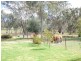 582 Back Brawlin Road, Cootamundra NSW 2590