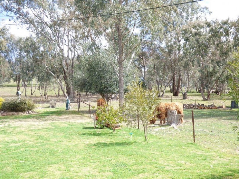 582 Back Brawlin Road, Cootamundra NSW 2590