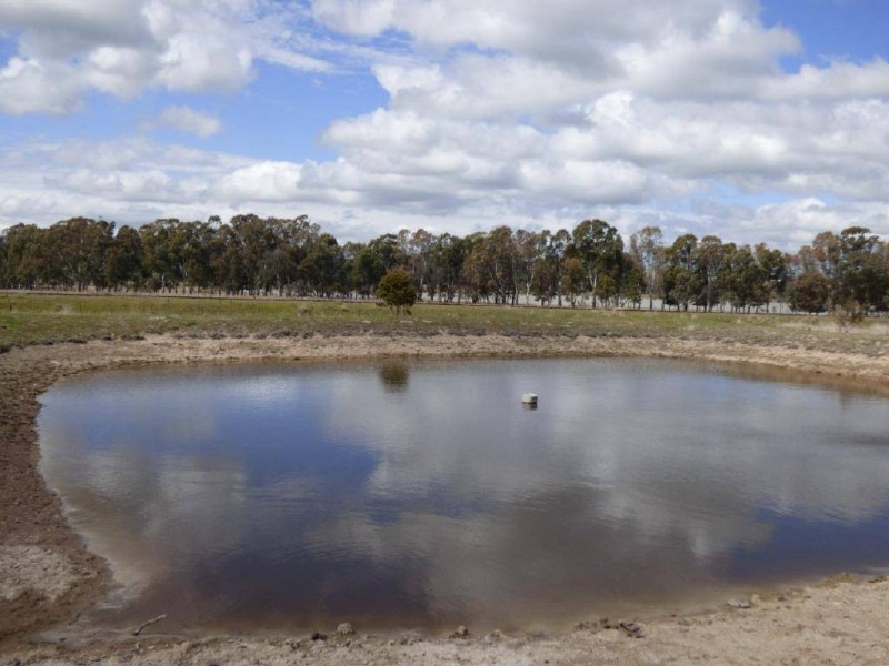 582 Back Brawlin Road, Cootamundra NSW 2590