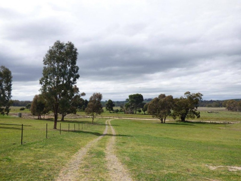 582 Back Brawlin Road, Cootamundra NSW 2590
