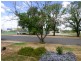 Cootamundra NSW 2590