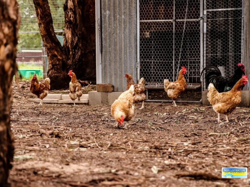 5 Bland Street, Wallendbeen NSW 2588