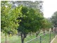Pinkerton Road, Cootamundra NSW 2590