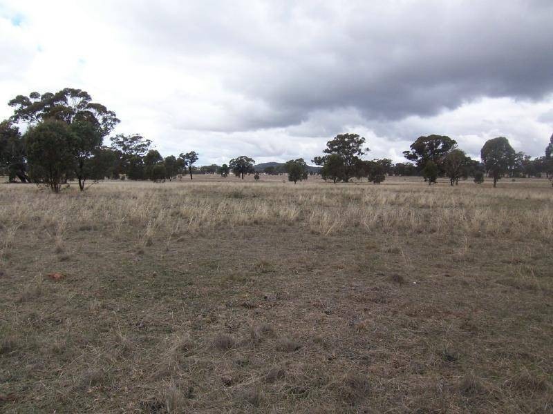 6015 Burley Griffen Way, Springdale NSW 2666