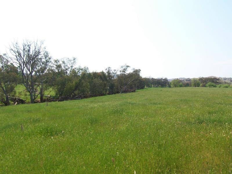 Lot 1 Jacksons Lane, Cootamundra NSW 2590