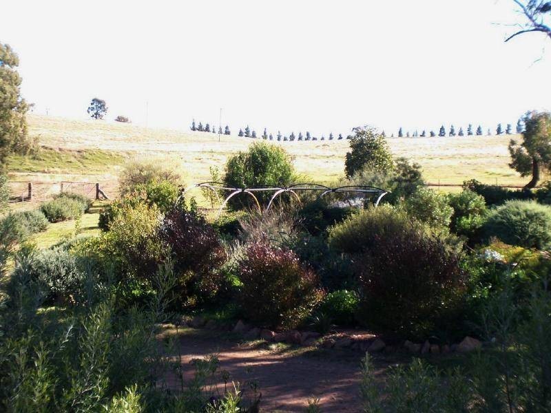 216 Suttons Lane, Cootamundra NSW 2590