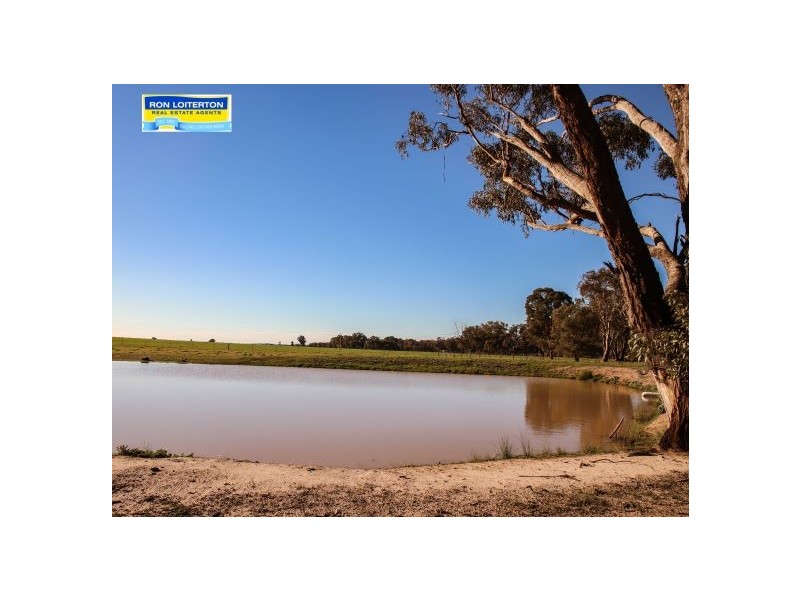 Lot 1 West Street, Stockinbingal NSW 2725