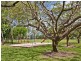 1 Ponticello Street, Whitfield QLD 4870