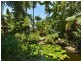 2/181 Esplanade, Cairns North QLD 4870