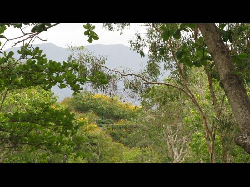 31 Purbeck Place, Edge Hill QLD 4870