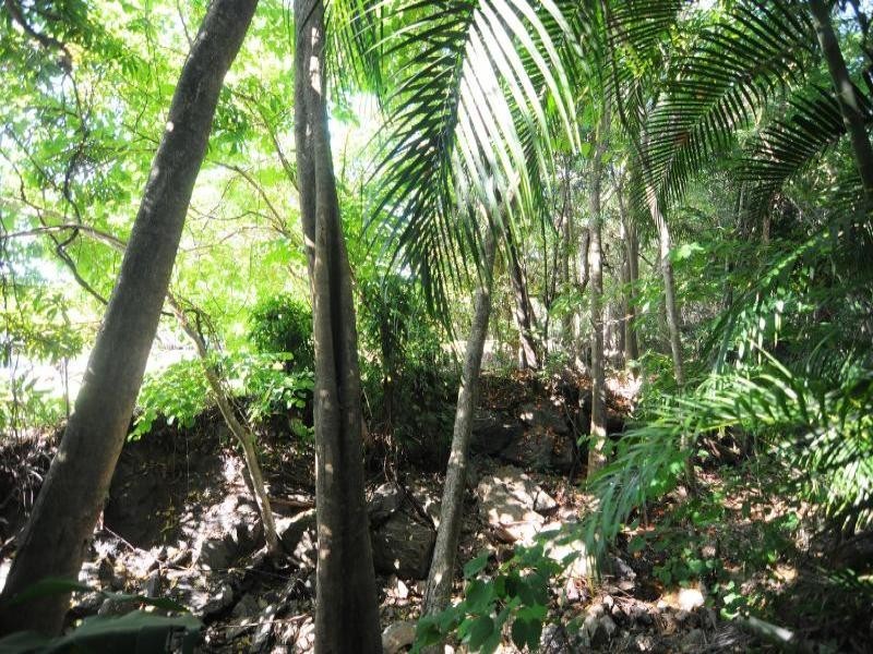 6 Fitch Court, Stratford QLD 4870