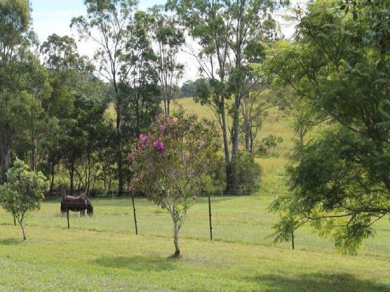 100 Mingaletta Road, Kundabung NSW 2441