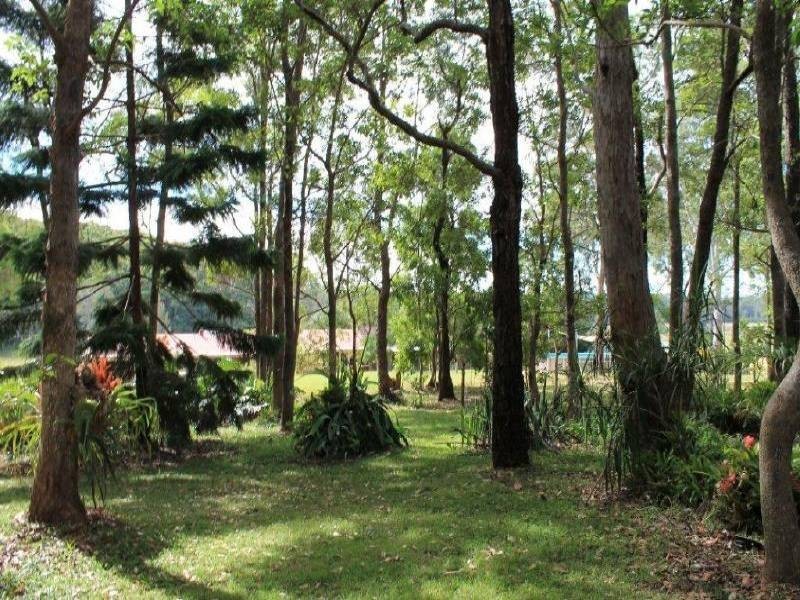 100 Mingaletta Road, Kundabung NSW 2441