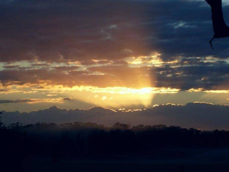 100 Mingaletta Road, Kundabung NSW 2441