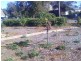 Ungarie NSW 2669