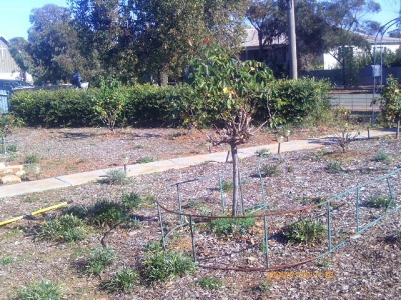 Ungarie NSW 2669