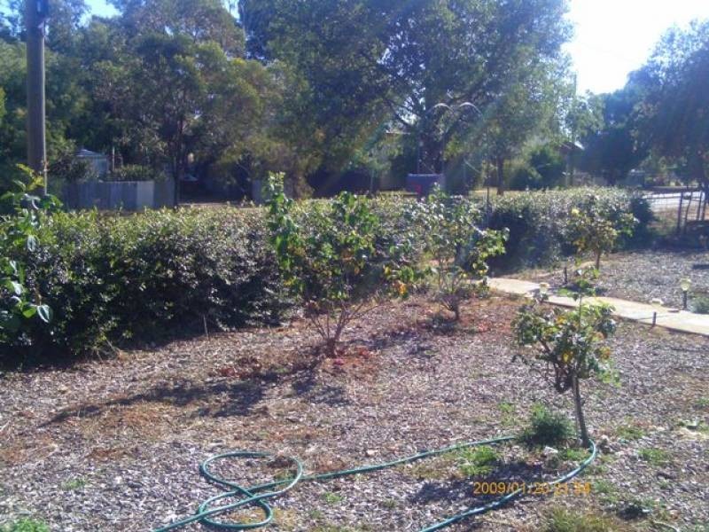 Ungarie NSW 2669