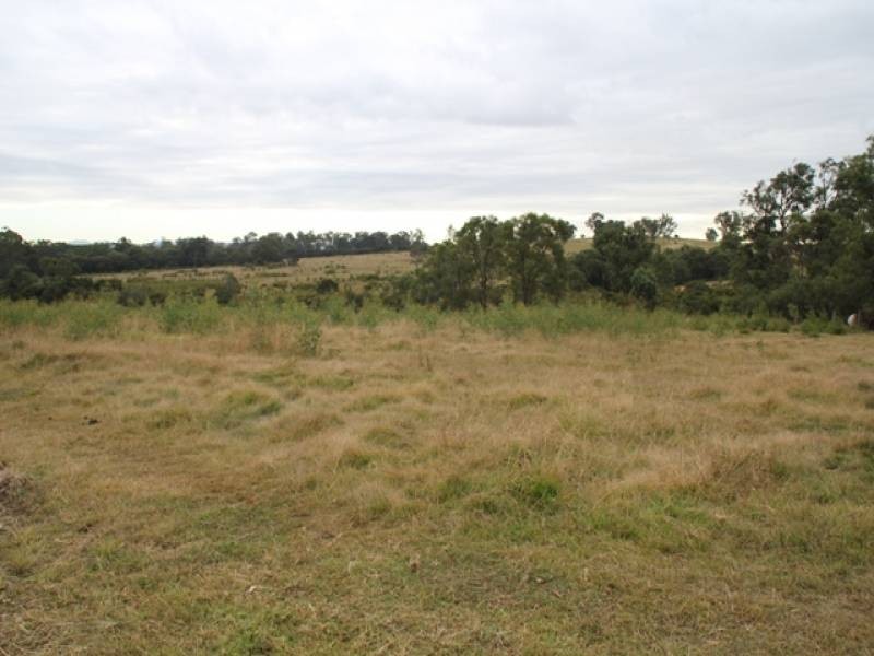 Cliftleigh NSW 2321